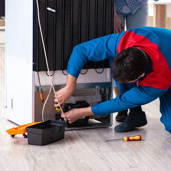 what are the common refrigerator repair services in Sinking Spring